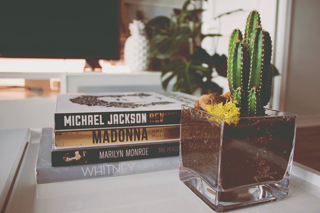 6 Trik Menata Coffee Table agar Terlihat Elegan dan Tidak Berlebihan 6 Stylish home decor with cactus plant and books on a sunny coffee table.