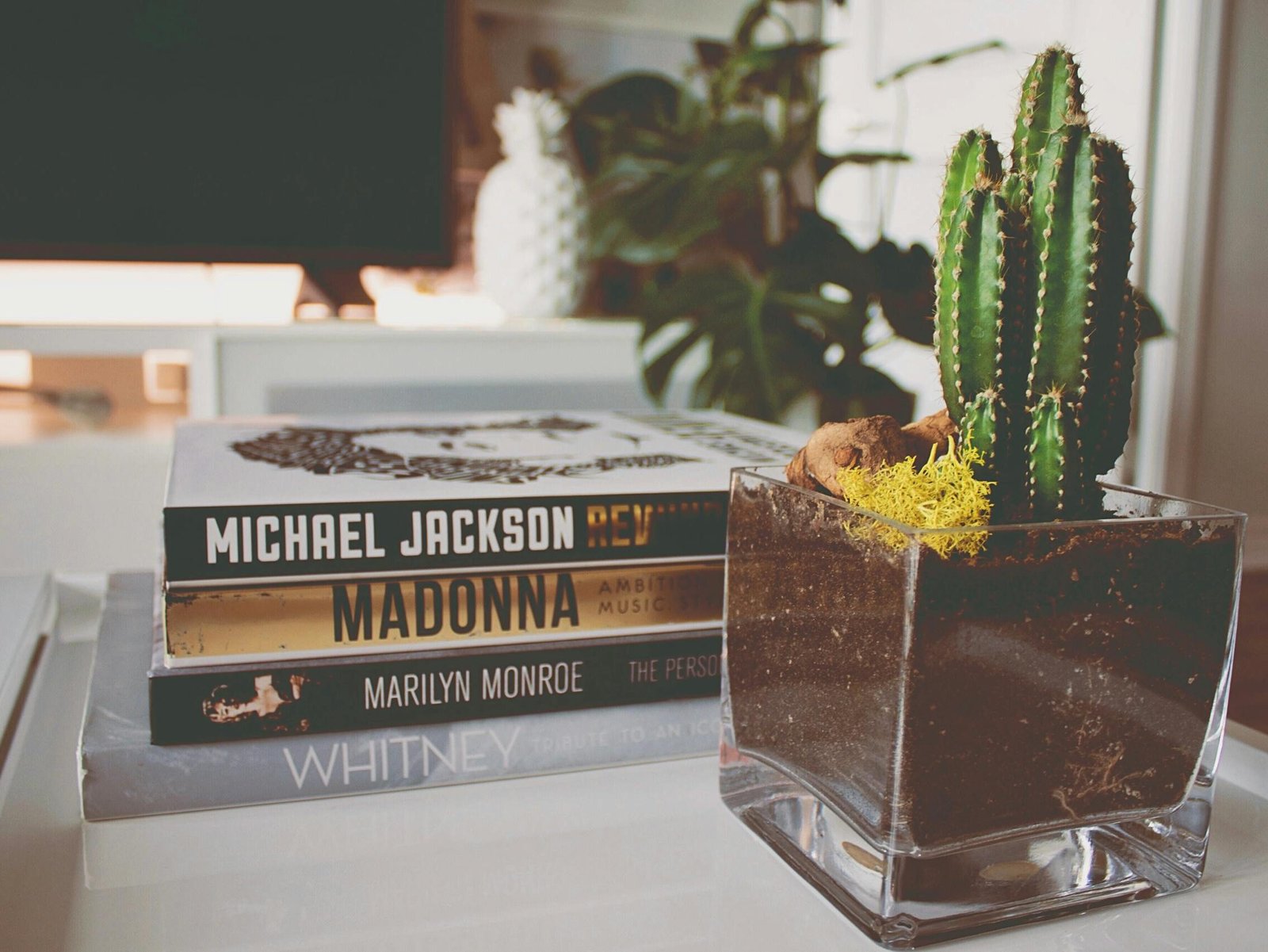 5 Aksesori Rumah yang Membuat Interior Lebih Mewah 5 Aksesori Stylish home decor with cactus plant and books on a sunny coffee table.